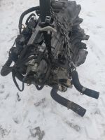 Motor  Kia Hyundai  G4FD   33tkm  1,6gdi 135ps  komplett Mecklenburg-Vorpommern - Neubrandenburg Vorschau