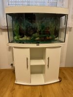 Aquarium von Juwel ca 180 Liter Nordrhein-Westfalen - Stadtlohn Vorschau