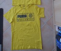 T Shirt von Puma Gr.152 Herzogtum Lauenburg - Mölln Vorschau