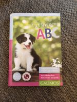 Das Welpen ABC / Hundebuch / Hundetraining Berlin - Pankow Vorschau