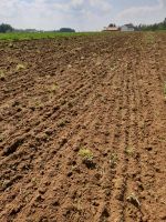 Betriebshilfe, im Bereich Landwirtschaft, Forst und Garten Bayern - Wald Oberpf. Vorschau