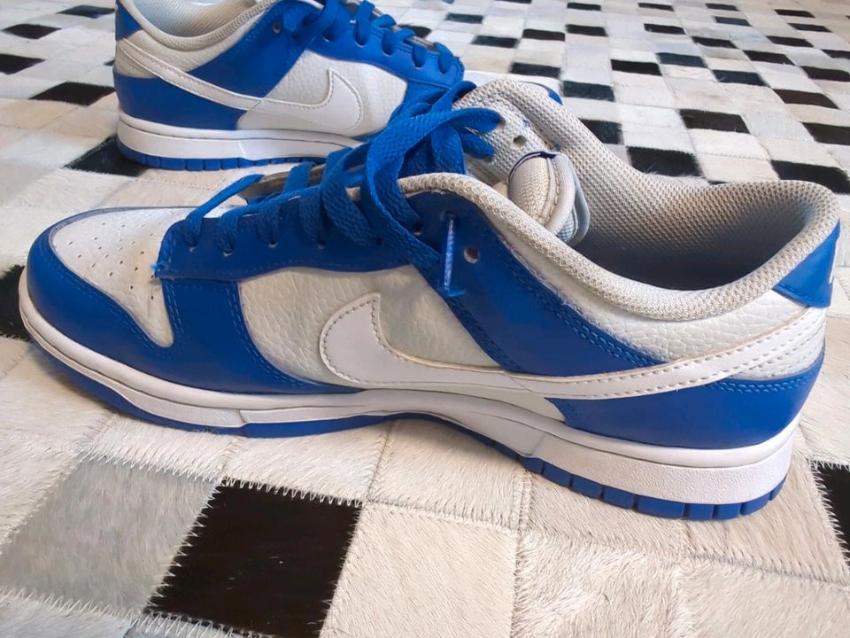 Nike Dunk Low FN3416-001 PHOTON DUST/WHITE/RACER BLUE  Gr. 42 in Düsseldorf