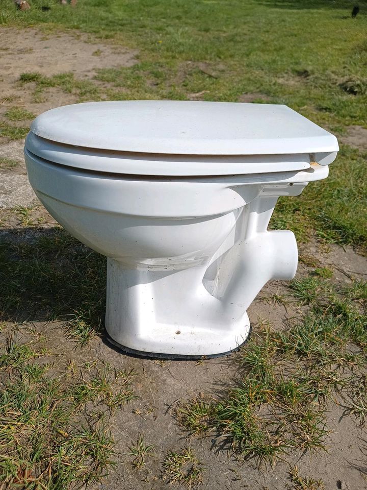 Grohe Toilette / WC mit Sitz in Groß-Gerau