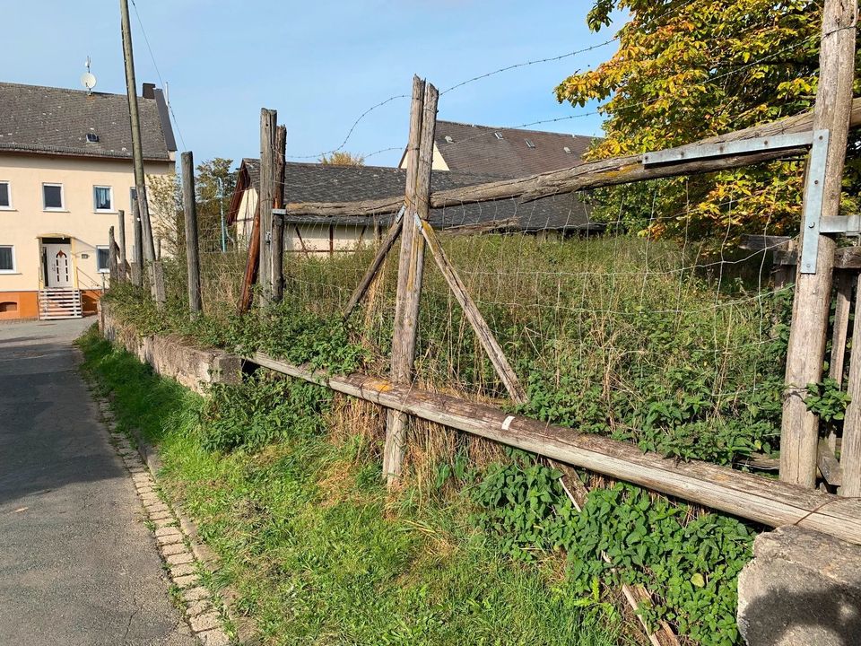 Grundstück mit zwei Bauplätzen & Scheune in Niederwallmenach in Koblenz