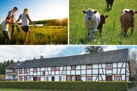 PHI AACHEN - Historisches Fachwerkhaus mit modernem Wohnkomfort! Drei renovierte Wohnungen in Konzen! Nordrhein-Westfalen - Monschau Vorschau