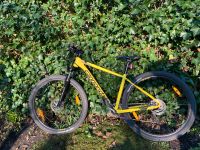 Cannondale Mountainbike Niedersachsen - Aurich Vorschau