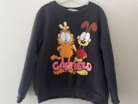 H&M Kinderpullover „Garfield“ Gr 110/116 Rheinland-Pfalz - Pirmasens Vorschau