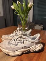 Adidas ozweego 38.5 Hessen - Darmstadt Vorschau