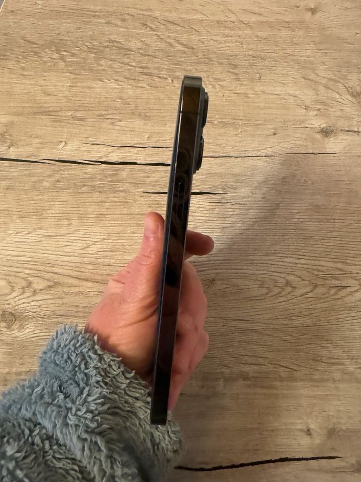 iPhone 13 Pro Max schwarz 128gb in Sinzig