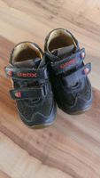 Geox Schuhe Baby-/Kinderschuhe Gr. 19 Übergang Halbschuhe Osterfeld - Waldau Vorschau