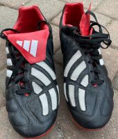 Adidas Predator Nordvorpommern - Landkreis - Grimmen Vorschau