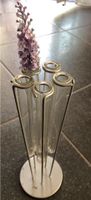 Vase mit 5 Reagenzgläsern Hessen - Reiskirchen Vorschau