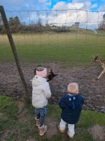 Garten für Familie Baden-Württemberg - Herrenberg Vorschau