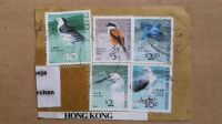 Briefmarken HONG KONG oder ITALIEN --- Sammlung --- Kellerfund Feldmoching-Hasenbergl - Feldmoching Vorschau