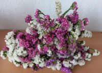 3 Statice Blumensträuße, pink/weiß,Trockenblumen, Zimmerpflanzen Hessen - Lohfelden Vorschau