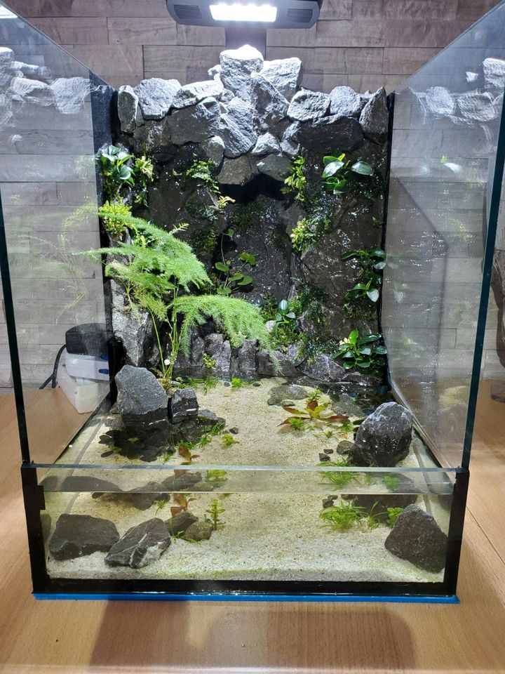 Paludarium Aquarium Terrarium in Hannover