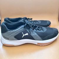 Puma Varion Hallenschuhe Sportschuhe Turnschuhe 44 Rheinland-Pfalz - Mainz Vorschau