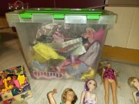 Barbie Konvolut XXL 17 Barbie,s pferde kleidung Nordrhein-Westfalen - Gladbeck Vorschau