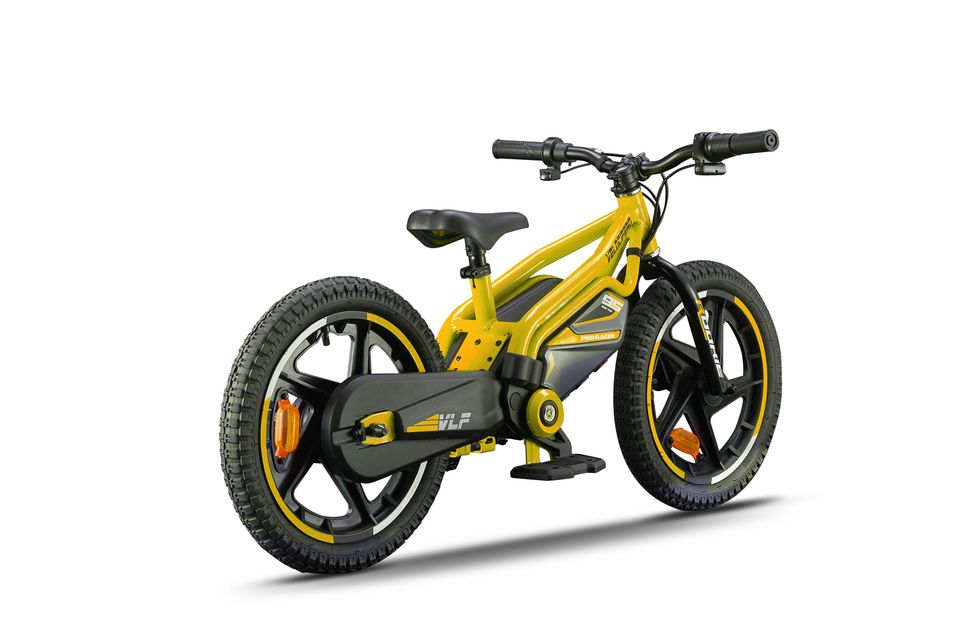 Velocifero Rookie Kinder Elektro Balance Bike 24V 150W 16” Li-on in Gelsenkirchen