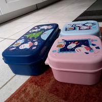 Tupperware bellevue  Set Niedersachsen - Clenze Vorschau