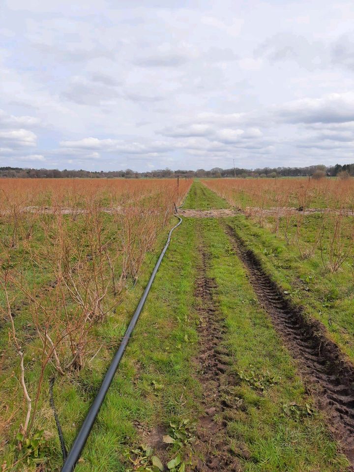 Grabenfräsen, Rasenbewässerung, Drainage graben, in Vechta