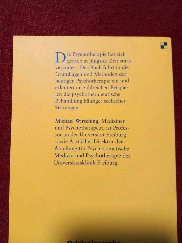 Buch Fachbuch Psychotherapie Grundlagen Wirsching Suizid Bronisch in Quedlinburg