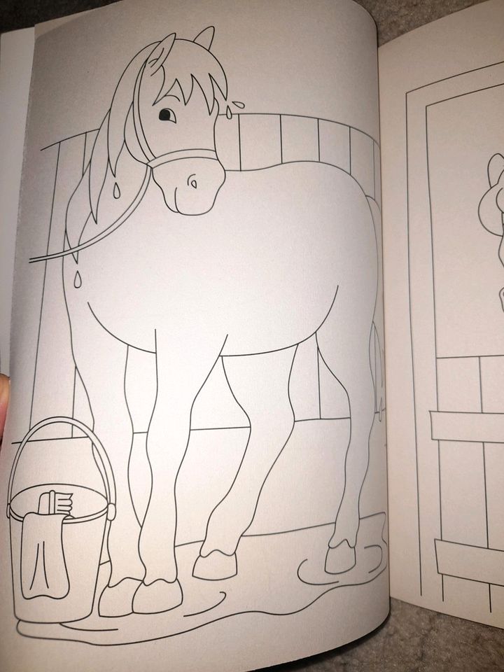 Malbuch Kinder Pferdemotive in Schwerstedt bei Sömmerda
