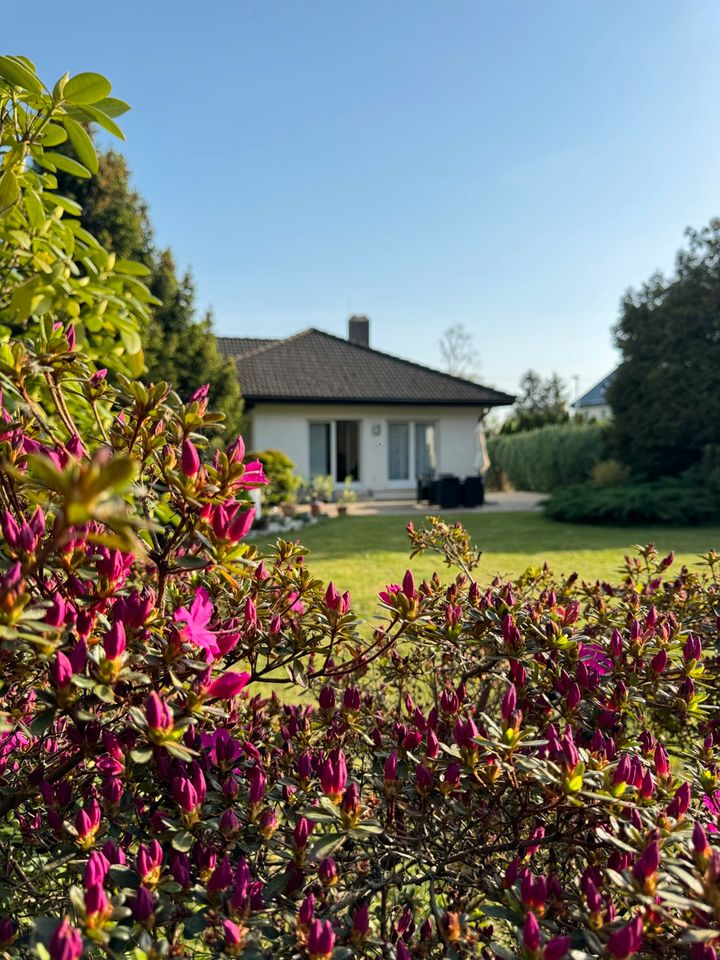 Für unser Familienglück! Einfamilienhaus mit Terrasse und Garten im beliebten Glösa in Chemnitz