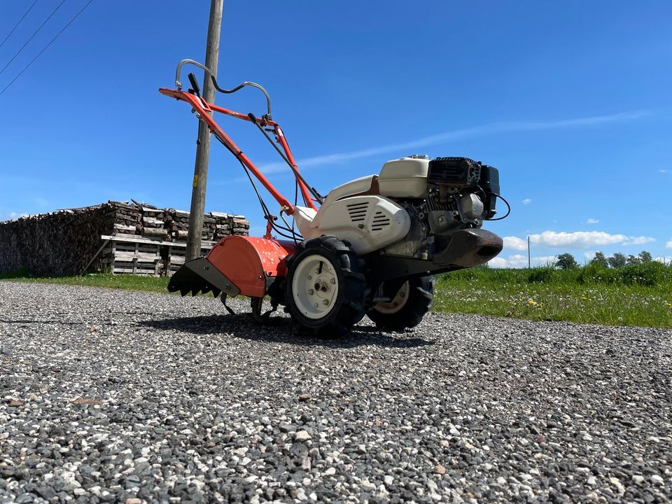 Orec Bodenfräse SF600D Herkules Bodenhacke Motorhacke Gartenfräse in Heilbad Heiligenstadt