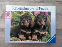 1000 Teile Puzzle Rauhhaardackelwelpen / Dackel No. 155385 Niedersachsen - Adelheidsdorf Vorschau