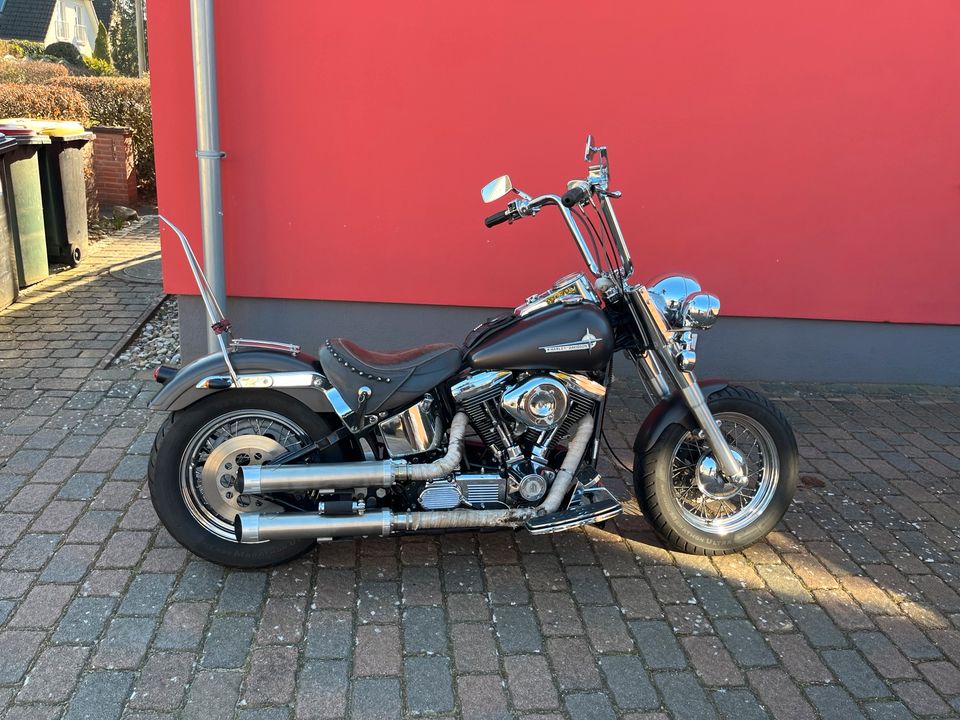 Harley Davidson Softail Evo Custom in Hamburg