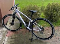 Specialized Ariel *wenige Km* Niedersachsen - Seggebruch Vorschau