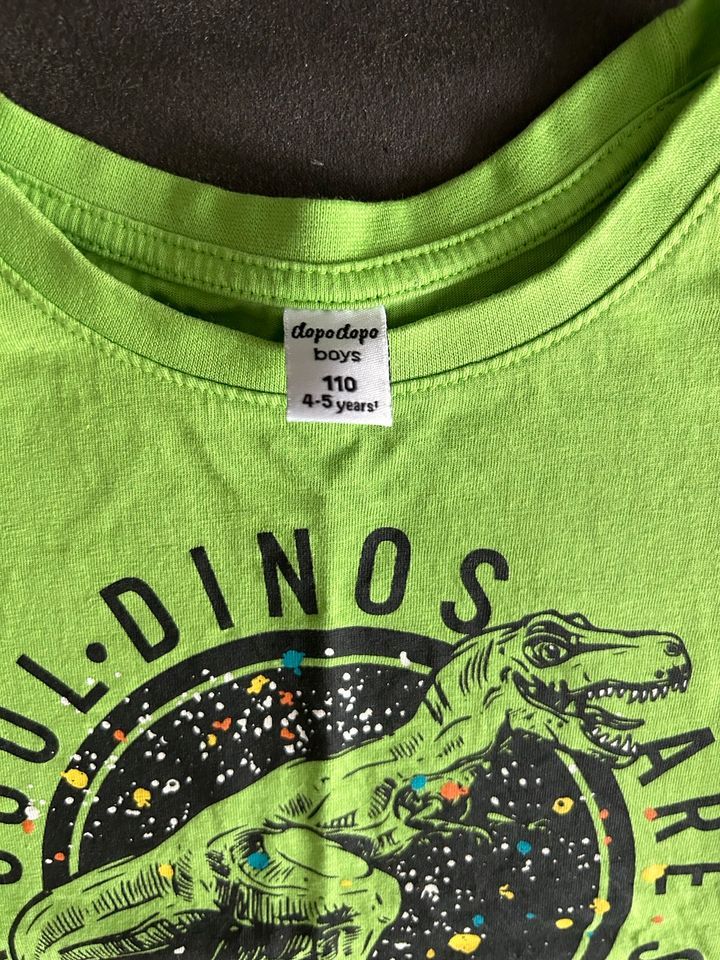 T-Shirt, Pullover Jungen 110 116 122 Spiderman, Jurassic World in Gaildorf