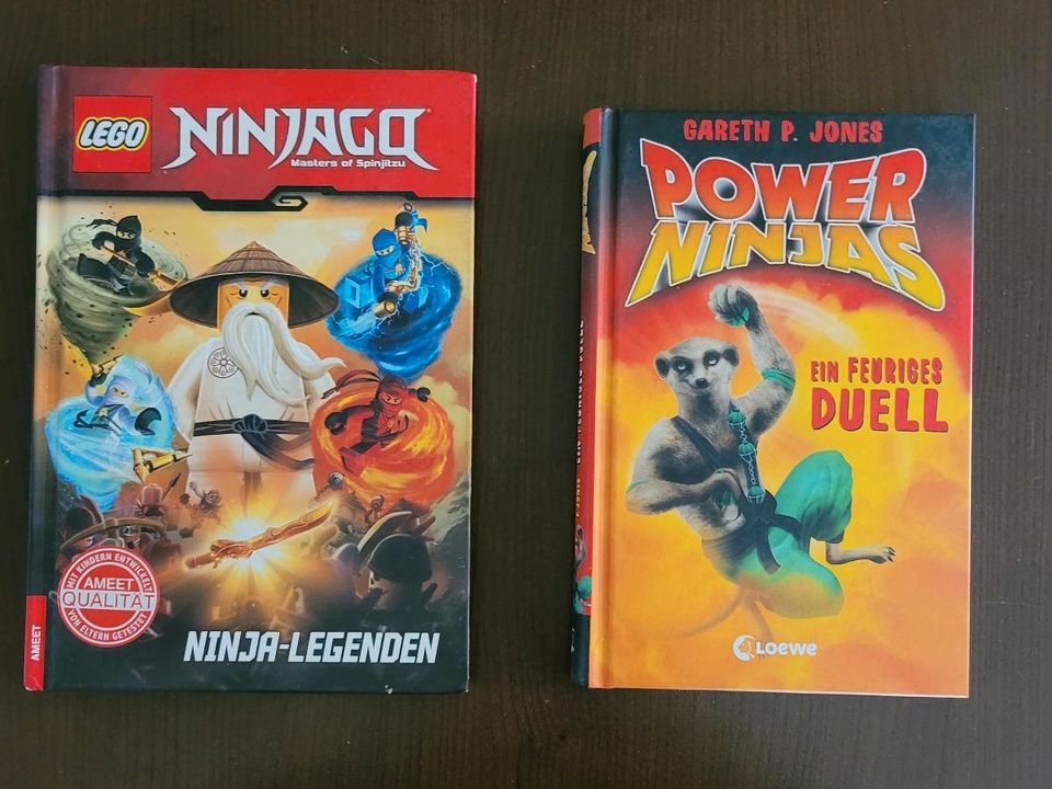 Lego Ninjago, Ninja Bücher in Rheinbach