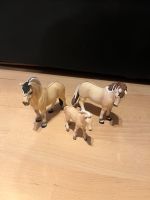 Fjord Pferd Familie von Schleich Baden-Württemberg - Illmensee Vorschau