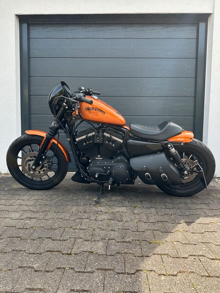 Harley Davidson Sportster Iron 883 XL883 in Ingersheim