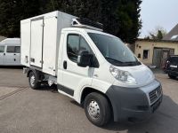 Fiat Ducato 2,3 Multijet  TiefKühlung - 29  Grad Essen - Essen-Borbeck Vorschau