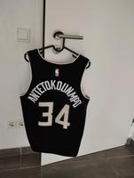 Herren und Jugendliche Trikot G.Antetokounmpo Jordan Saarland - Überherrn Vorschau