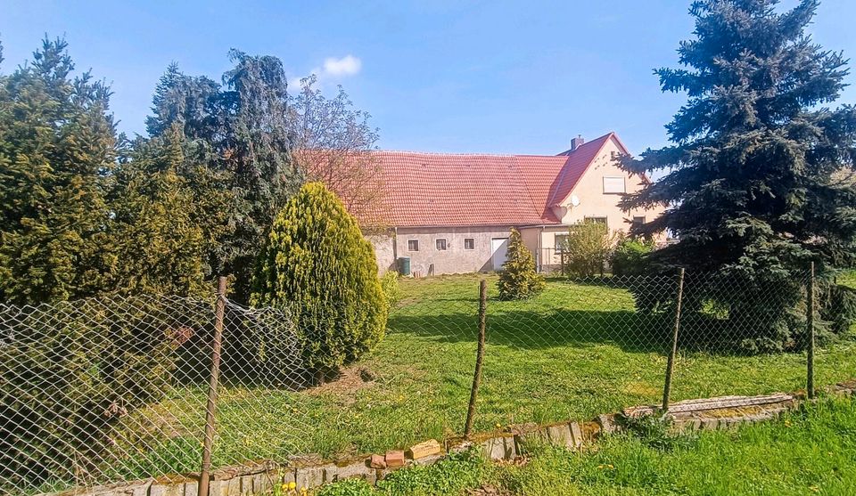 Einfamilienhaus mit Stallgebäude und Garage bei Belgern in Belgern