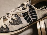 Converse Chuck 70 Tropical Leaf A00483C 8,5 Gr. 42 NEU Rheinland-Pfalz - Waldsee Vorschau