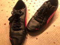 Puma & Dockers Sneaker div. Modelle Gr.39 & 40, neuwertig Hessen - Kelsterbach Vorschau