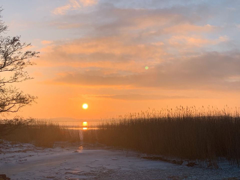 Ferienhaus am Wasser / Insel Usedom / Hund /Ostsee / Achterwasser in Seebad Bansin