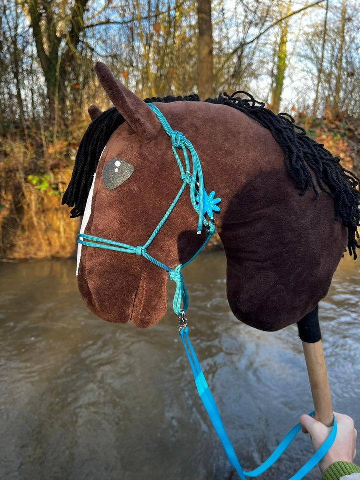 Hobby Horse, Steckenpferd, handgemachtes Stoffpferd mit Stock in Armsheim