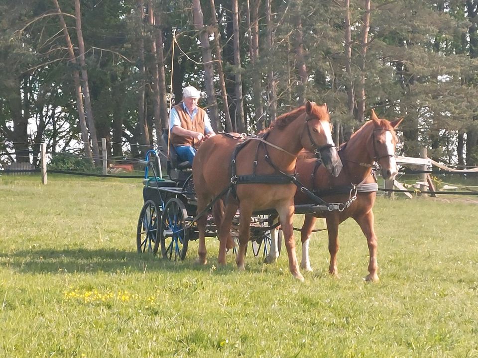 Garten Hielfe in Nahrendorf