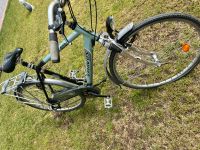 BaTavus Herren Fahrrad 28 Zoll Niedersachsen - Salzbergen Vorschau