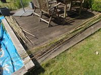 ca. 140 Bambusstangen  aus Garten abzugeben Niedersachsen - Braunschweig Vorschau
