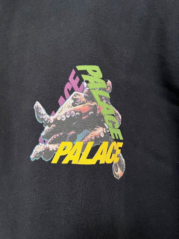 Palace octo hoodie (peso lfdy WrstBhvr stüssy stussy) in Bornheim