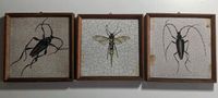 3 Kacheln, Fliesen Insekten Motiv, Deko, Vintage, Tiles Friedrichshain-Kreuzberg - Friedrichshain Vorschau