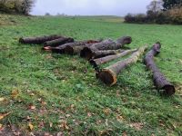 Eichen Buchen Stämme Stammholz Brennholz Scheitholz Holz 7 fm Hessen - Mengerskirchen Vorschau