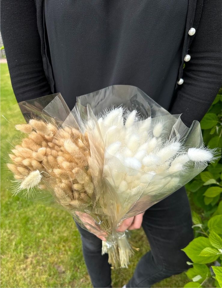 Lagurus Hasenschwanz Trockenblumen weiß gefärbt Hochzeit Deko in Dresden